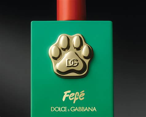 fes dolce gabbana|dolce gabbana fefe perfume.